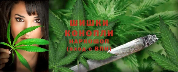 не бодяженный Новозыбков