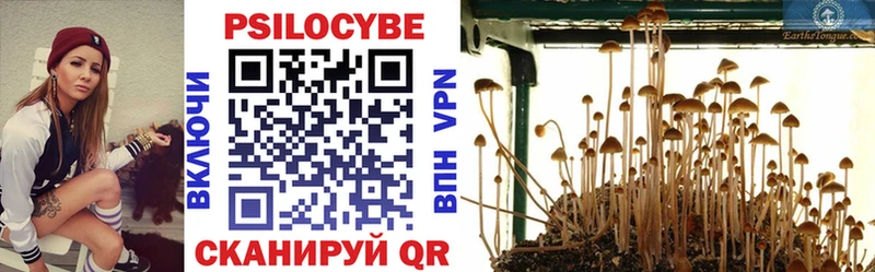 купить наркотики цена  Борисоглебск  даркнет официальный сайт  Галлюциногенные грибы MAGIC MUSHROOMS 