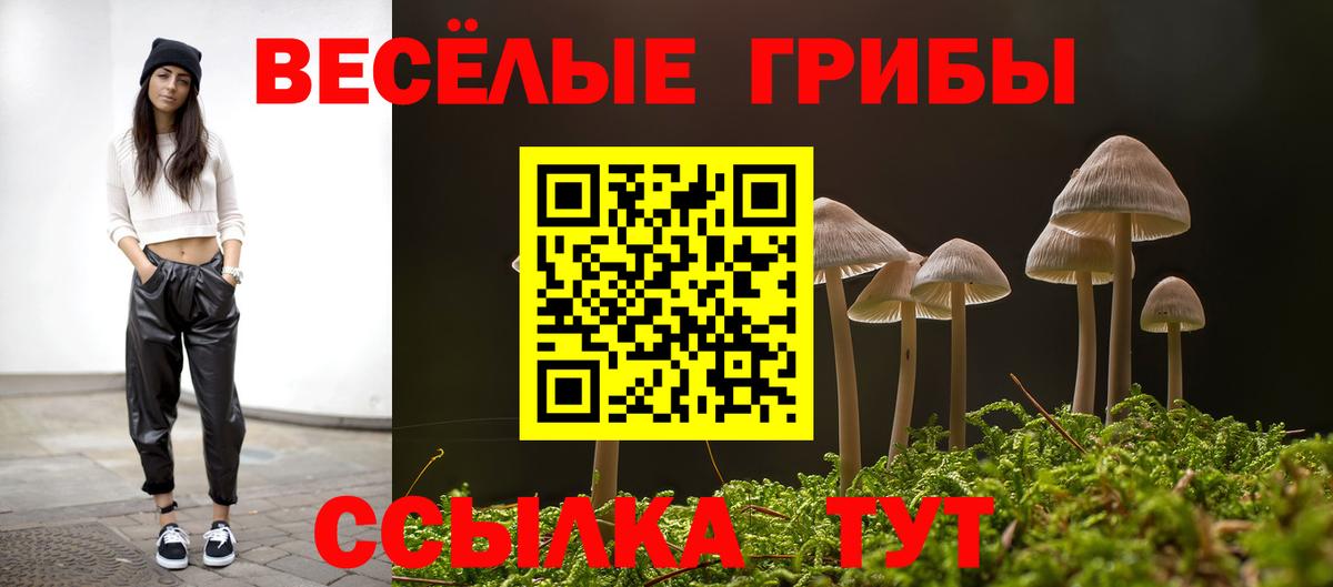 Псилоцибиновые грибы GOLDEN TEACHER  Борисоглебск 