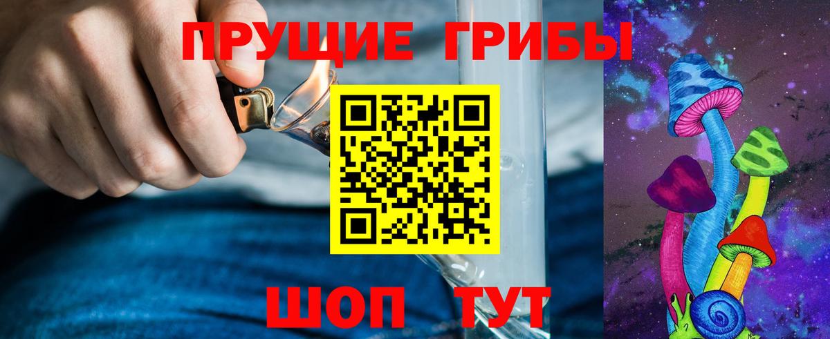Псилоцибиновые грибы Cubensis Борисоглебск