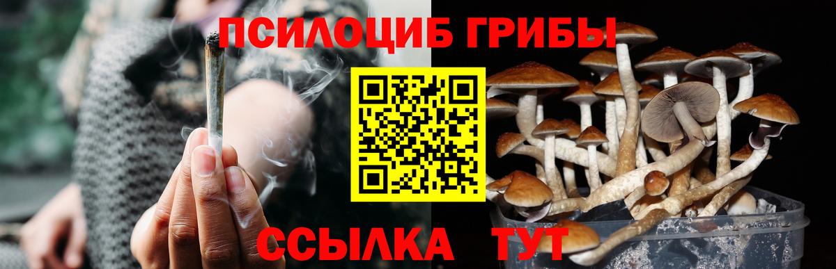 Псилоцибиновые грибы GOLDEN TEACHER Борисоглебск